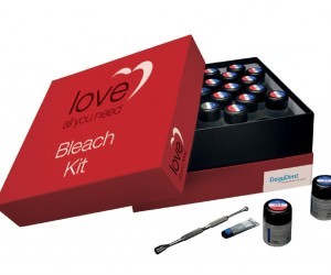 Bleach Kit